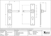 Large Avon Lever Euro Lock Set