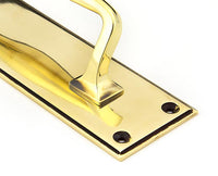 300mm Art Deco Pull Handle on Backplate