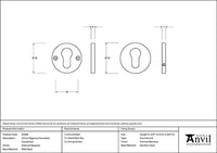 52mm Regency Concealed Escutcheon