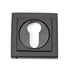 Round Euro Escutcheon Square