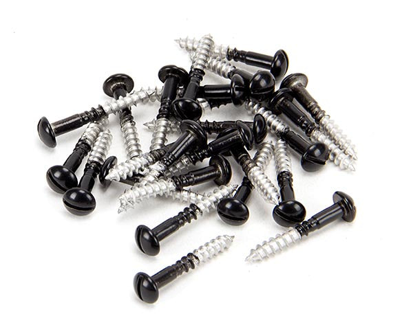 3 ½ x 25 Black SS  Roundhead Screws (25)