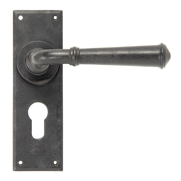 Regency Lever Euro Lock Set