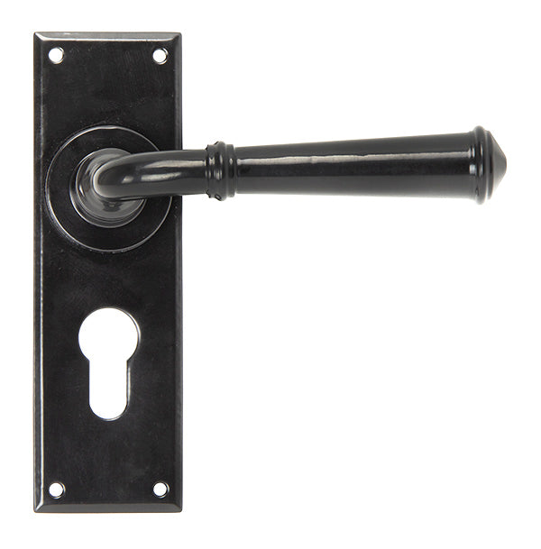 Regency Lever Euro Lock Set