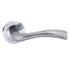 STATUS Texas Lever Door Handle on Round Rose